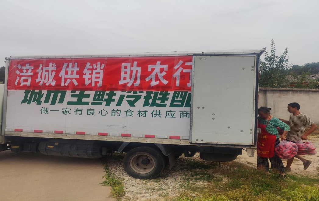 1748421897867055021.png 1748421897867055021.png