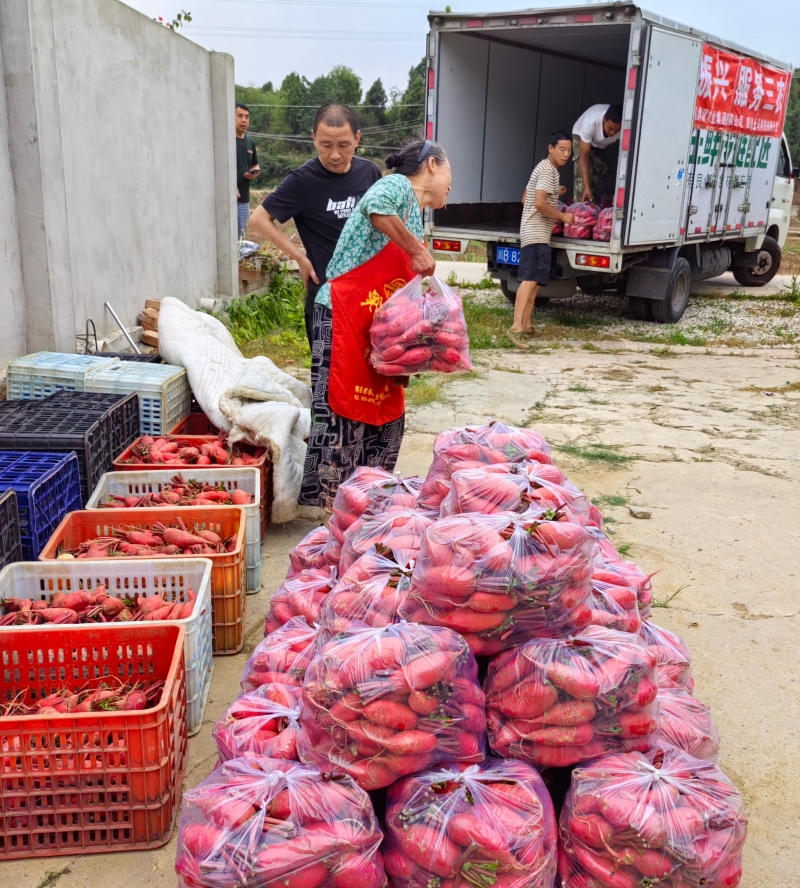 1748421898230050063.png 1748421898230050063.png