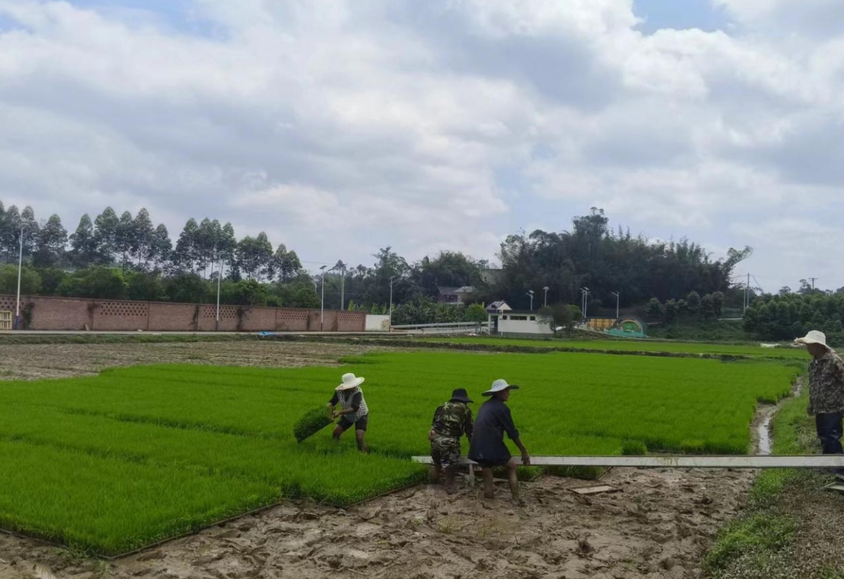 1749461731933044141.png 1749461731933044141.png