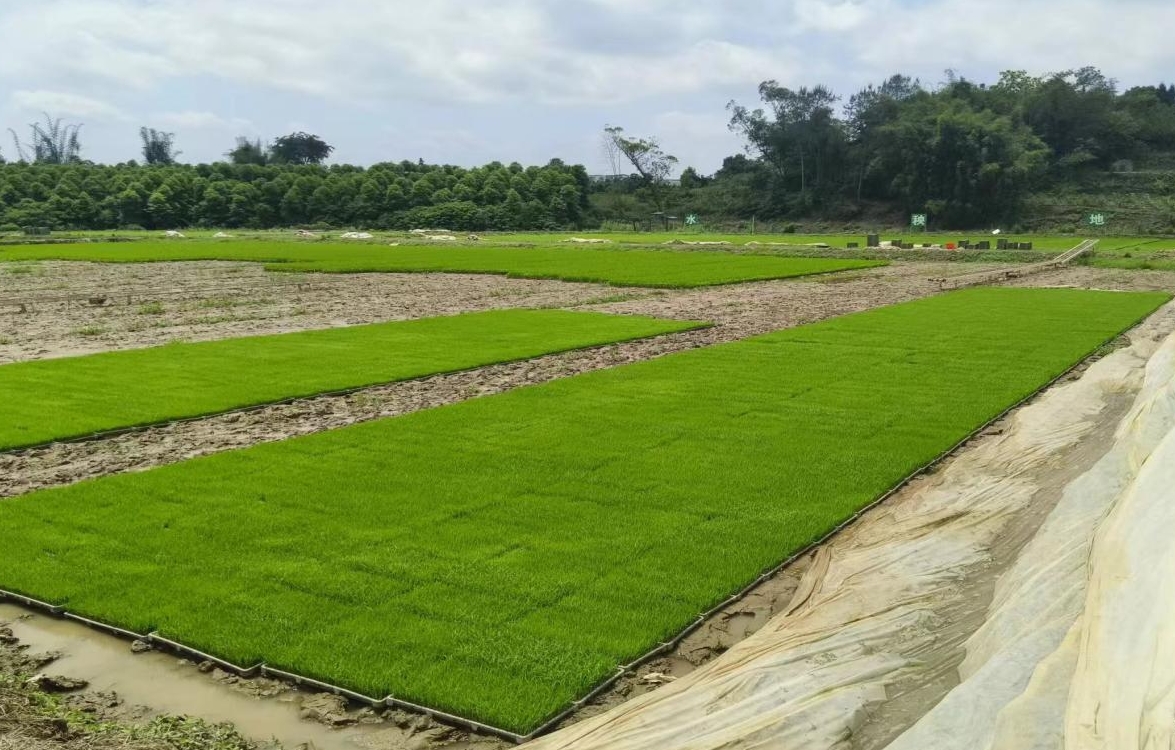 1749461732495002125.png 1749461732495002125.png