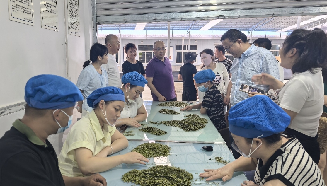 1750842697226067144.png 1750842697226067144.png