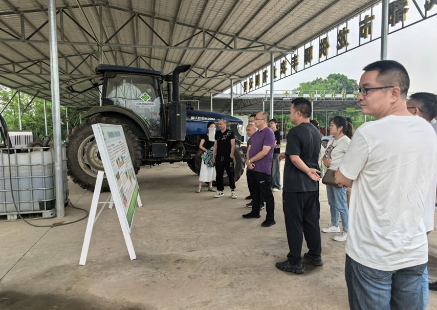 1750842697395028257.png 1750842697395028257.png