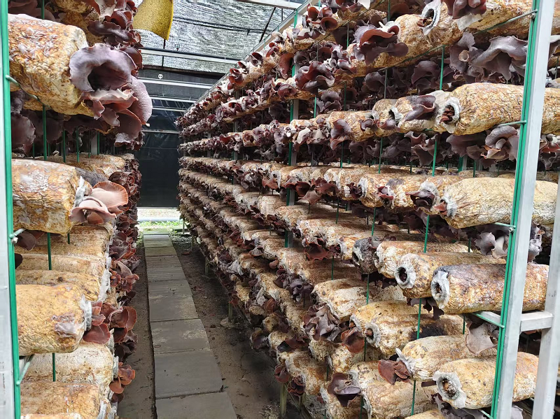 1751438667463041547.png 图片1.png