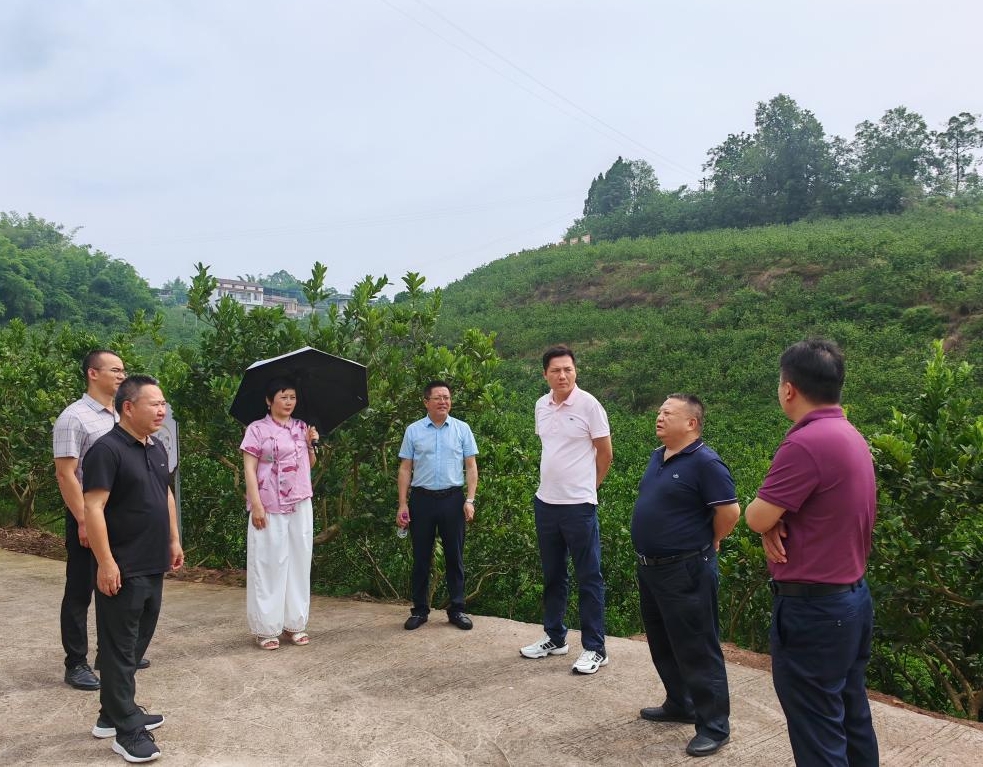 1751882360527097860.png 1751882360527097860.png