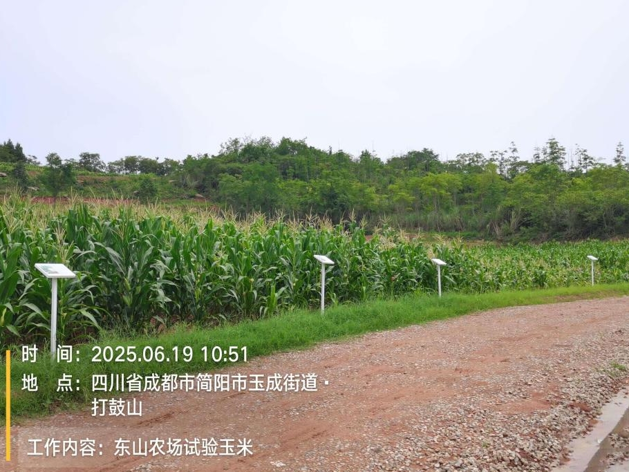 1752026843516031378.png 1752026843516031378.png