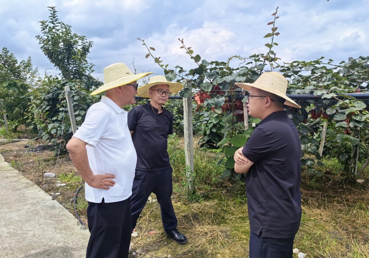 1752043268310023283.png 1752043268310023283.png