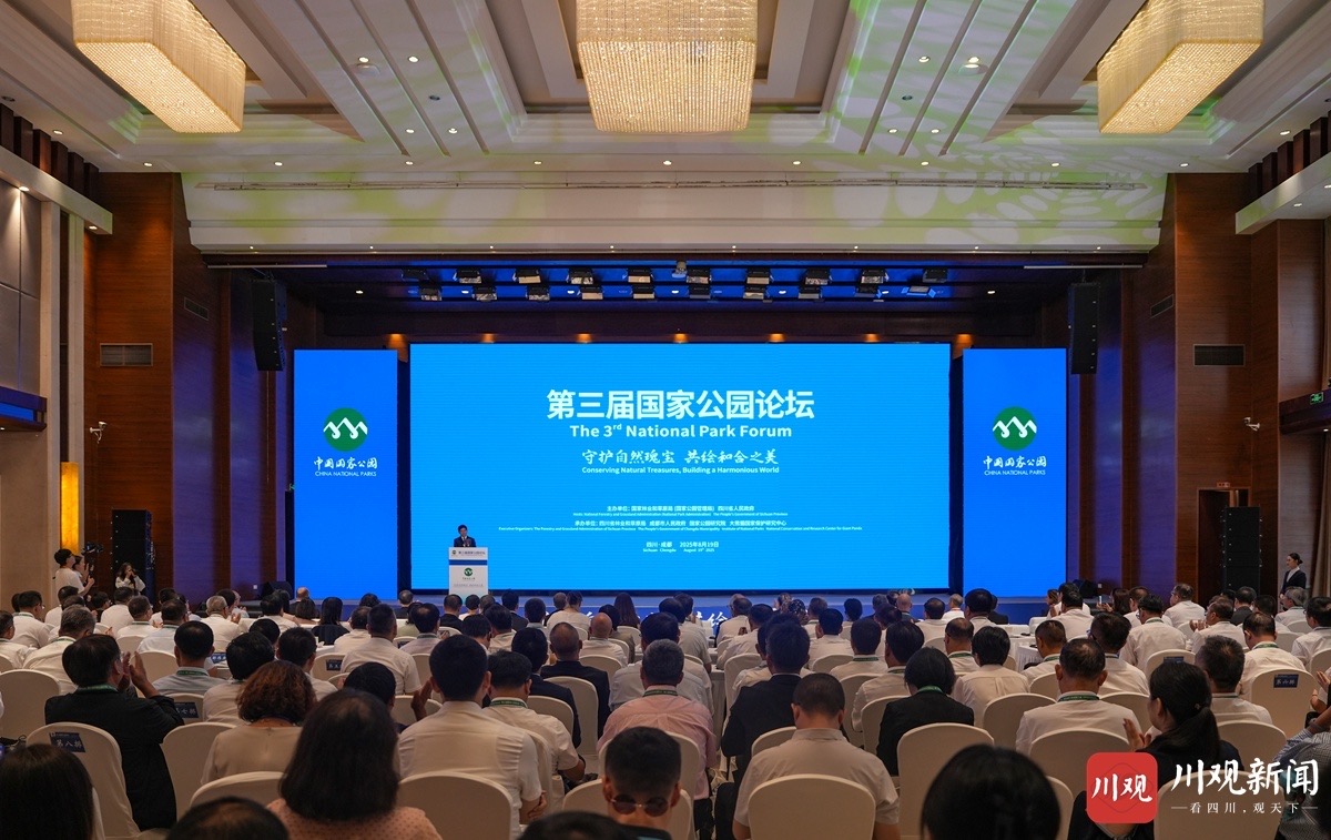 1755614277616012777.jpeg 1755614277616012777.jpeg