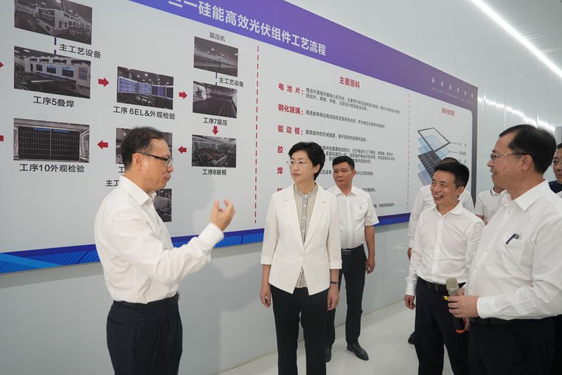 施小琳在南充巴中调研时强调
保持定力鼓足干劲攻坚克难
推动经济持续向好动能加快汇聚民生不断改善「相关图片」