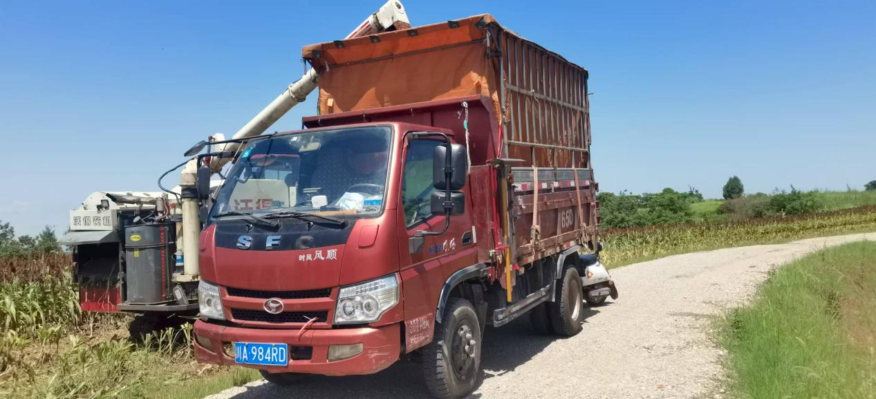 1755766729914046502.png 1755766729914046502.png