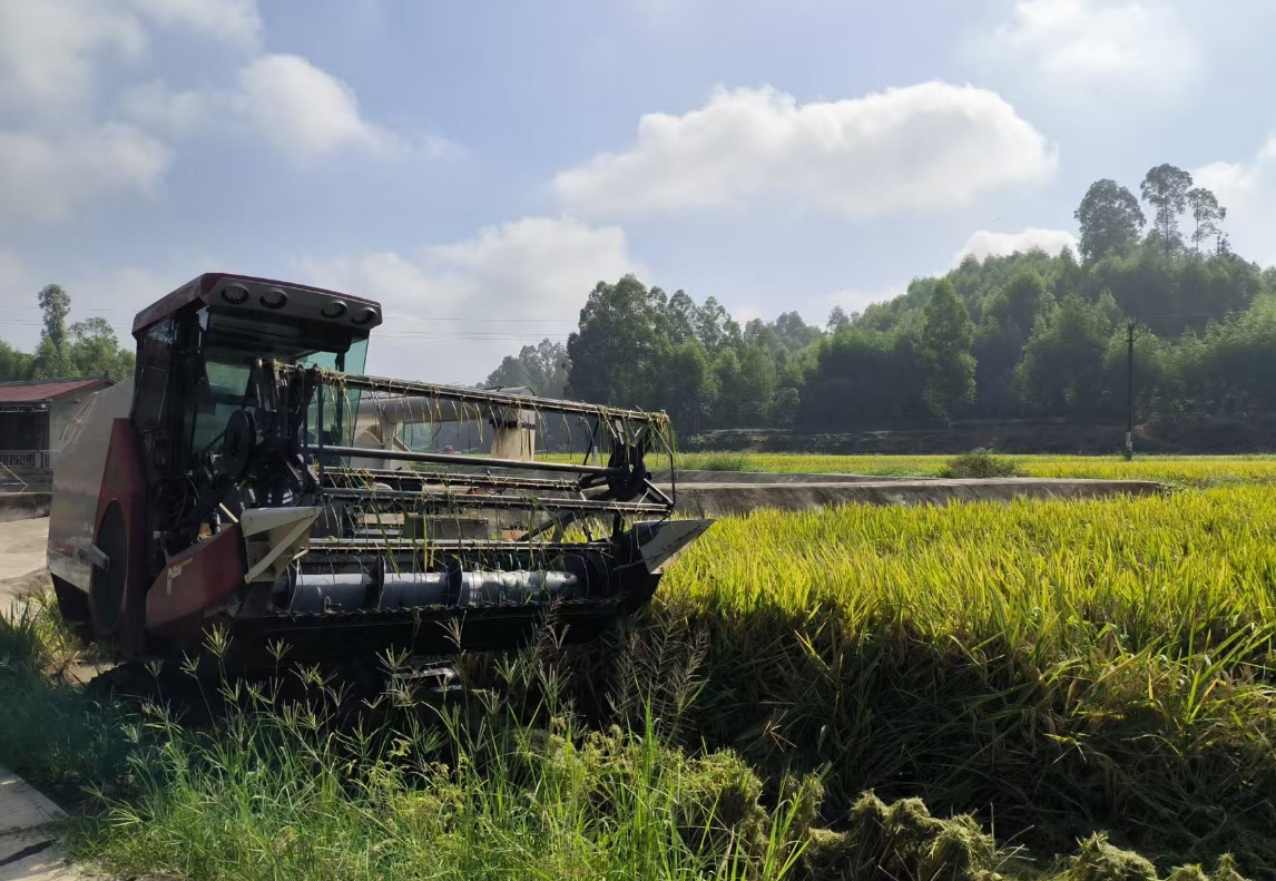 1756043950664090612.png 1756043950664090612.png