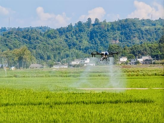 1756800765796011627.png 图片1.png