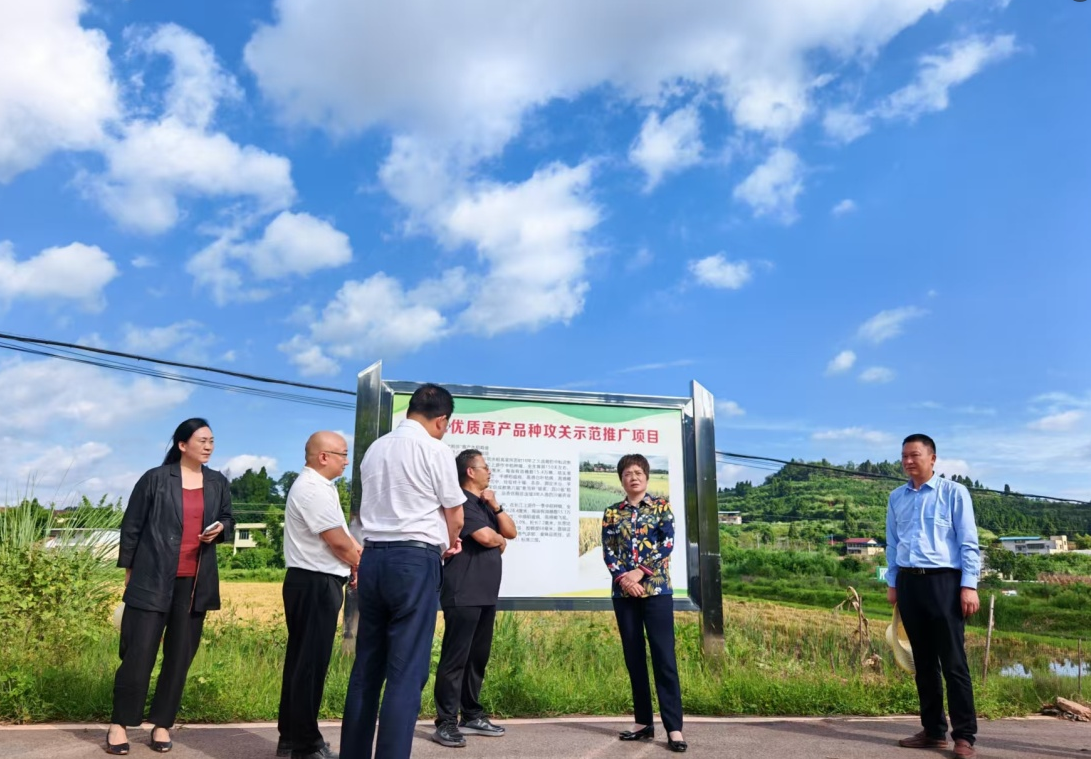 1757581326787024212.png 1757581326787024212.png