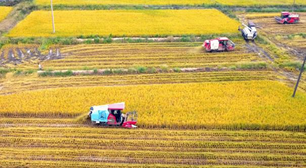 1758699766966028170.png 图片1.png