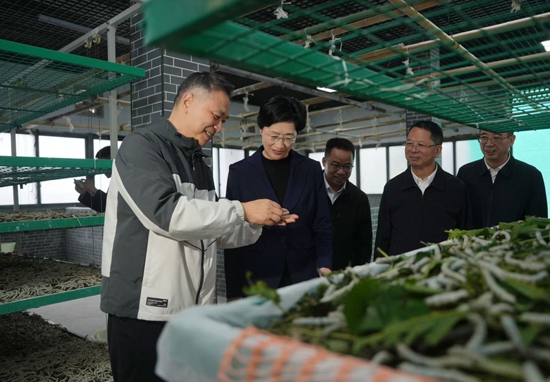 施小琳在广安调研时强调
深入学习贯彻党的二十届四中全会精神
以高质量发展实效确保“十四五”收好官“十五五”开好局「相关图片」