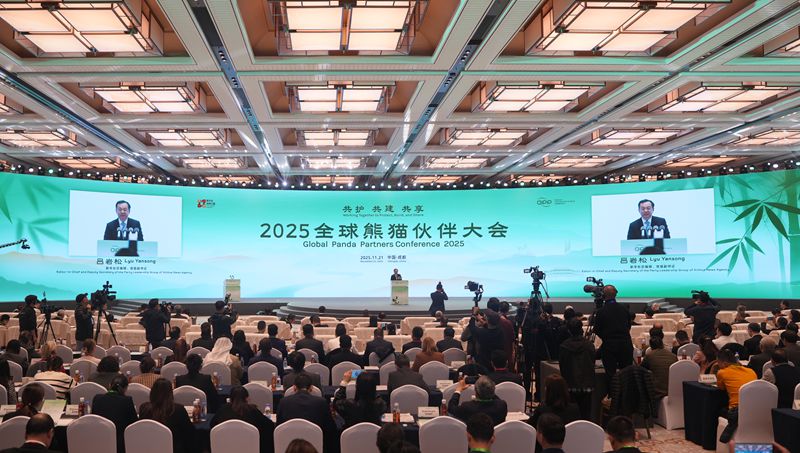 2025全球熊猫伙伴大会在蓉开幕 
吕岩松施小琳刘国洪致辞「相关图片」
