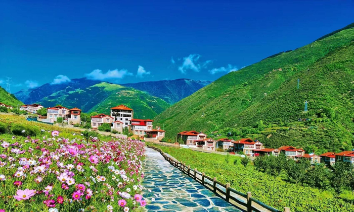 “花语藏寨”英波洛村夏景（资料图）受访者供图
