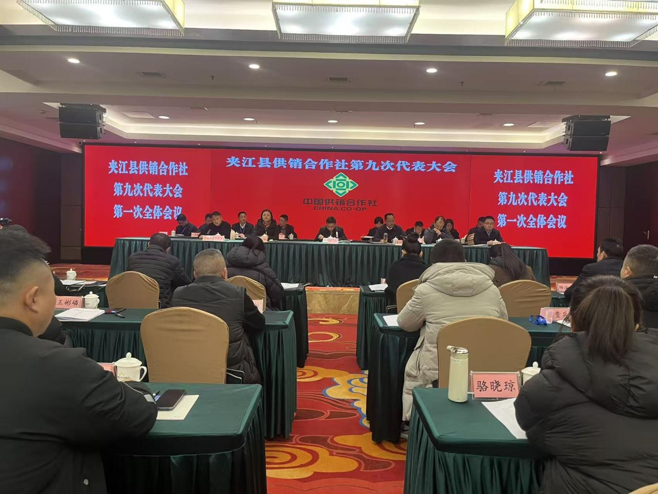 1770105652998029098.png 1770105652998029098.png