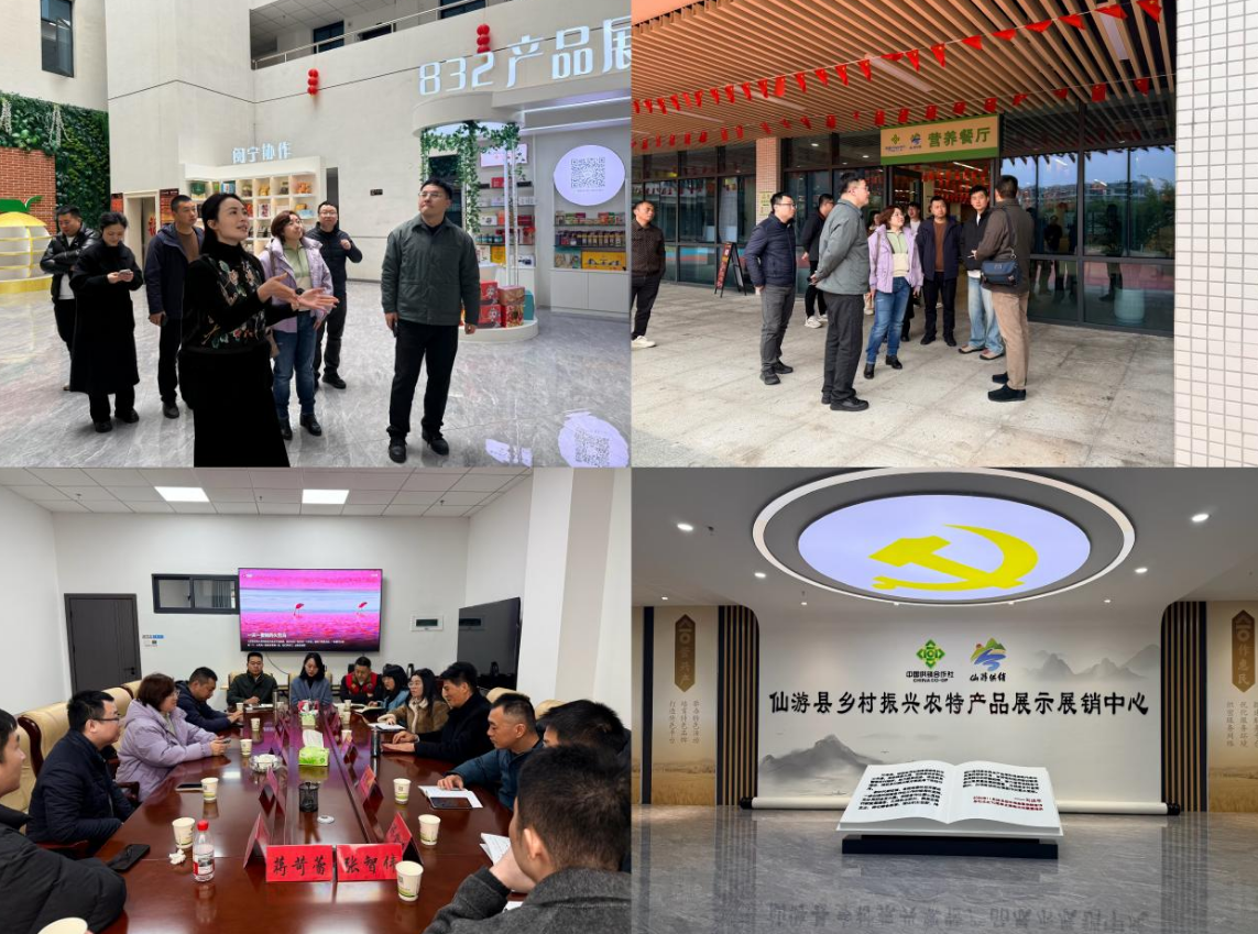 1770175475696036327.png 1770175475696036327.png