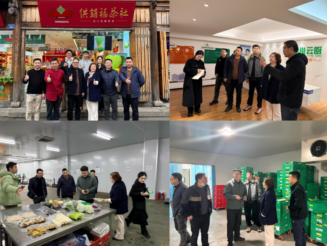 1770177628276091262.png 1770177628276091262.png