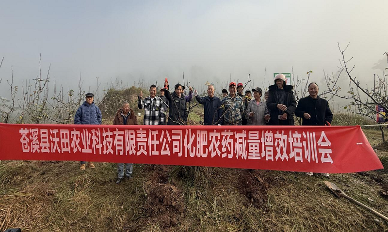1774422382018095244.png 图片5.png