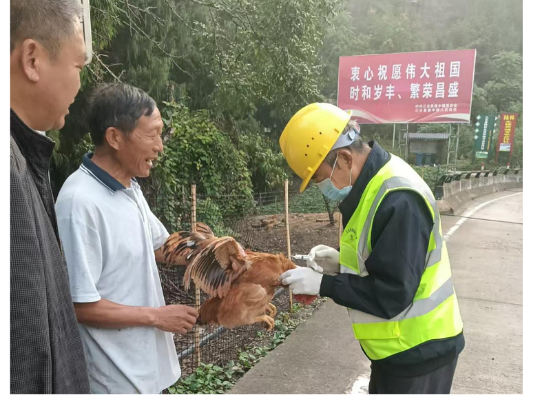 1779432453154079005.png 图片3.png